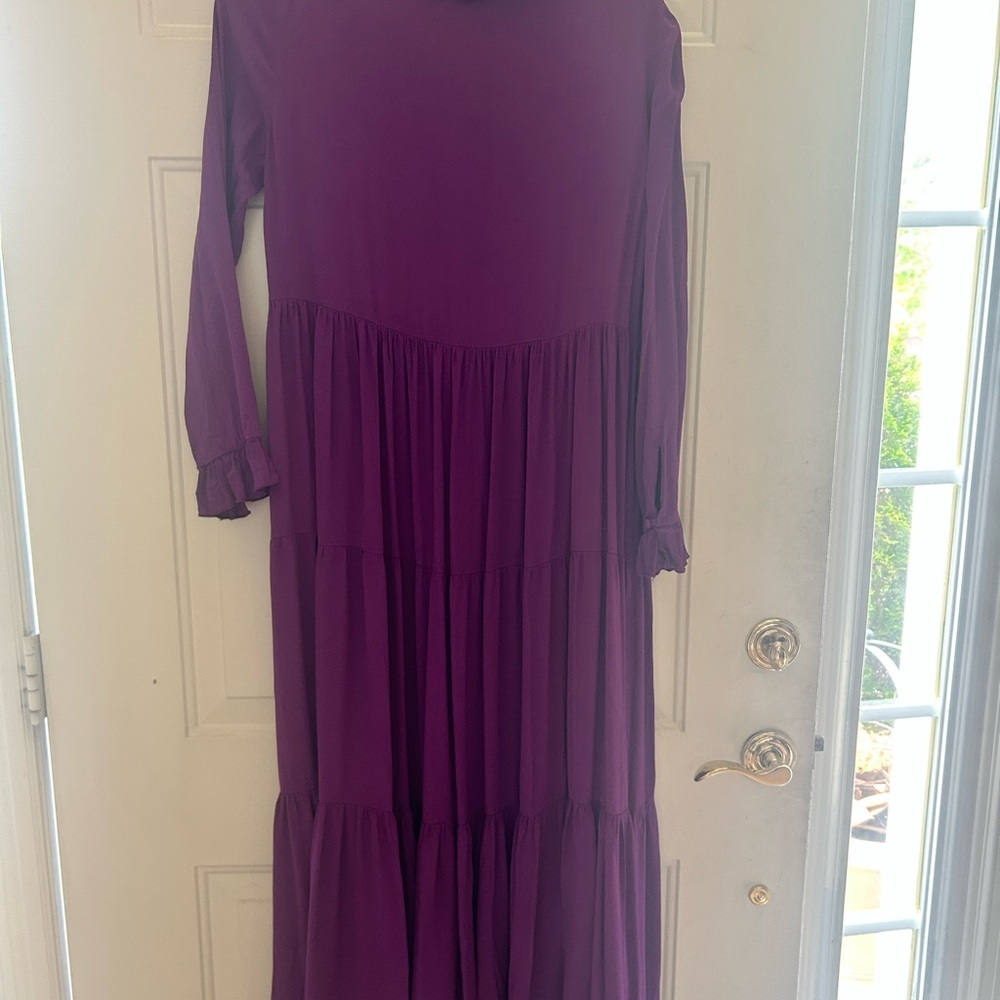 Zara Purple Long Sleeve Maxi Dress